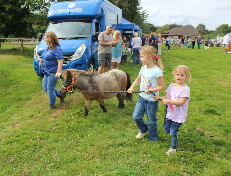 Youngsters enjoyed walking ponies from Munchkins Miniature Shetland Rescue