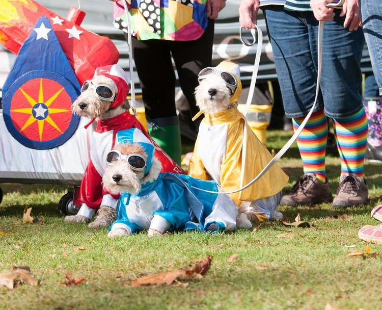 Fancy dress class with 2018 contestants. Credit: Chiswick Dog Show.