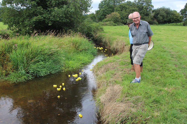 Axminster Heritage fundraising committee chair Andrew Moulding watches as the ducks make their way downstream