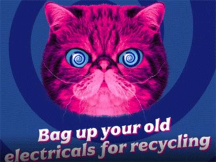 HypnoCat mascot in Recycle Your Electricals campaign. (Image: Hounslow Council)