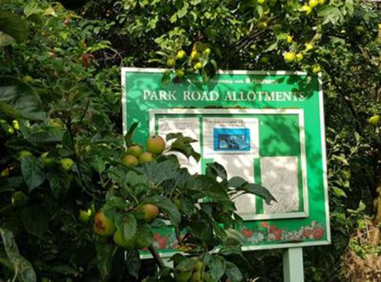 Park Road Allotment site in Isleworth is managed by The Northumberland Estate. (Image: Sophie Peel)