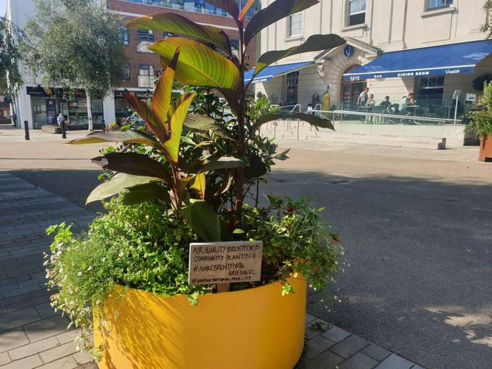 Air Quality Brentford planter in Brentford.