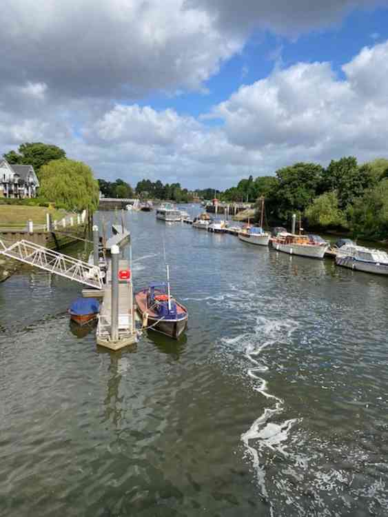 Views up river towards Richmond from the middle of the bridge today