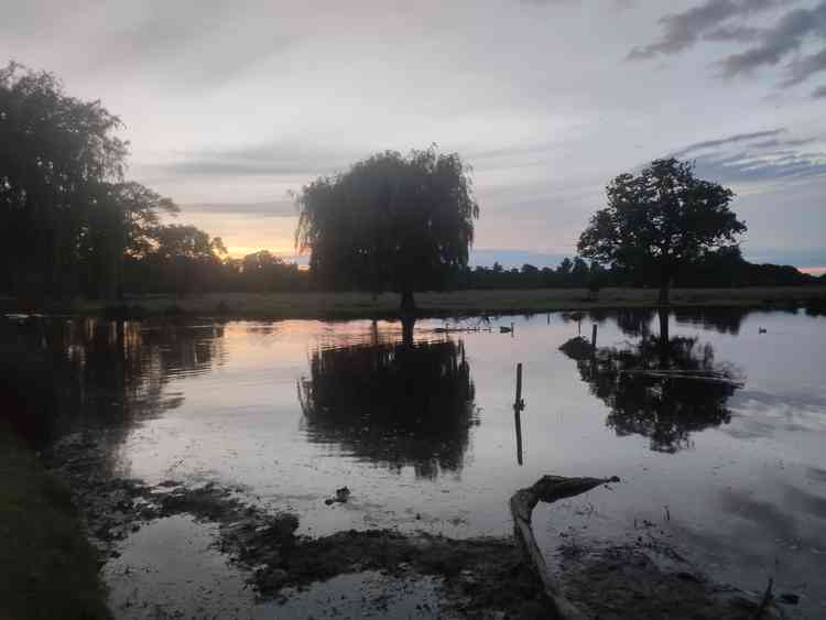 Reflection of trees (Photo by Alexander Zarach)