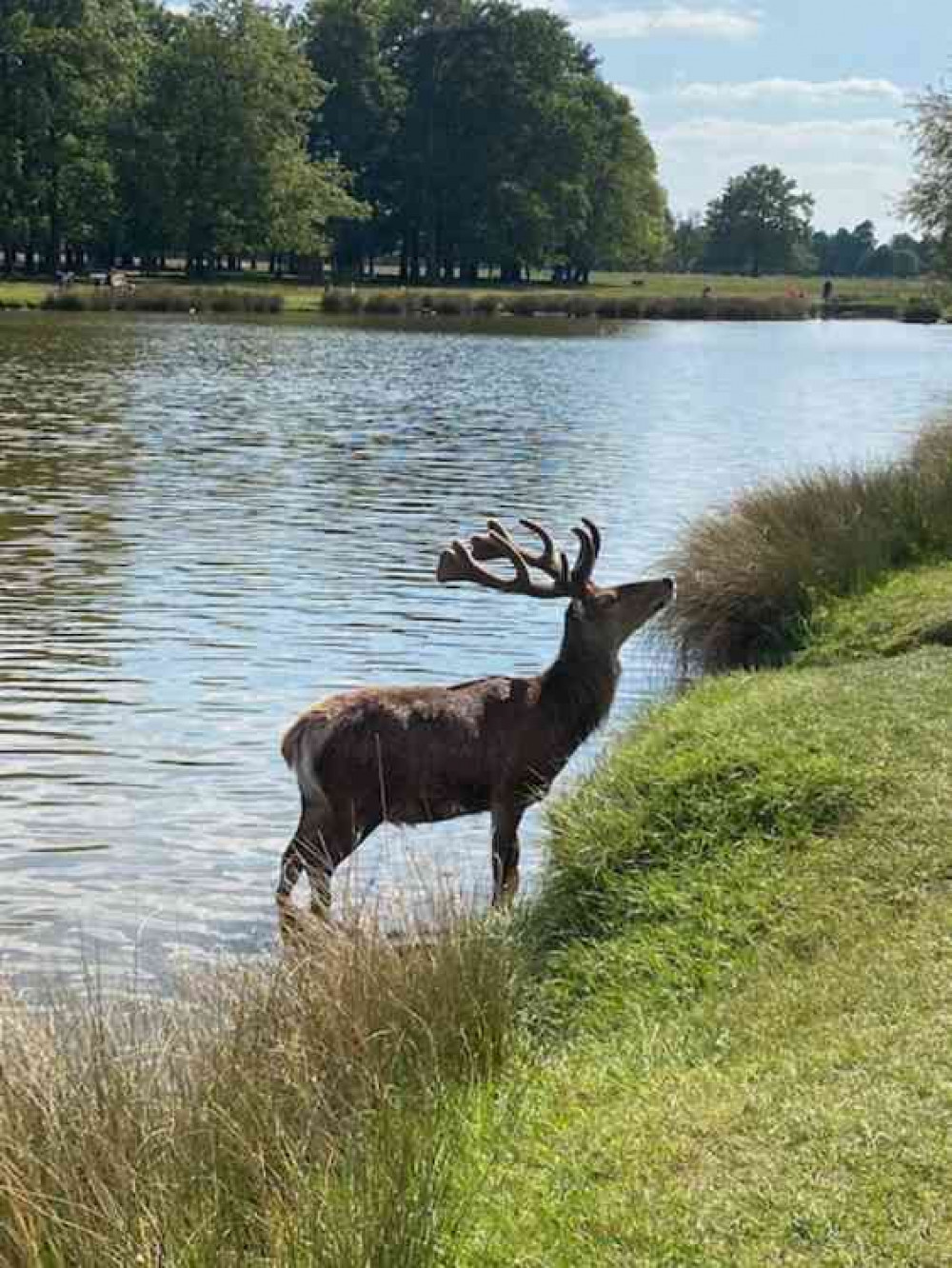 Shielded and vulnerable will be able to visit parks and local beauty spots again