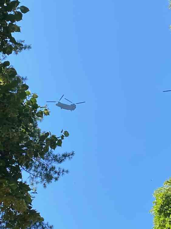 Blue skies give amazing view of the pair of Chinooks