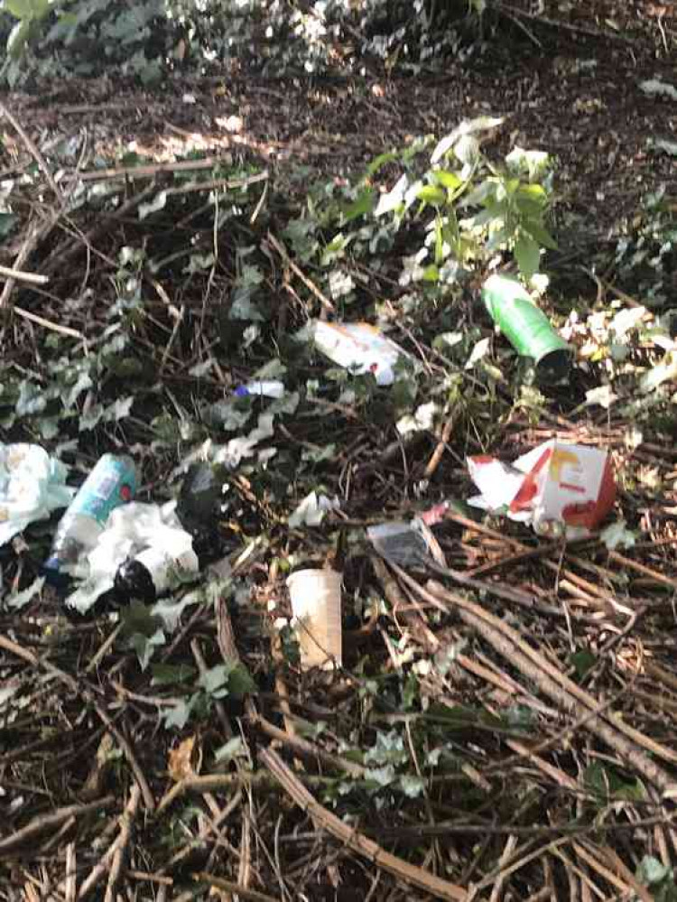 Rubbish left on Teddington 'beach'