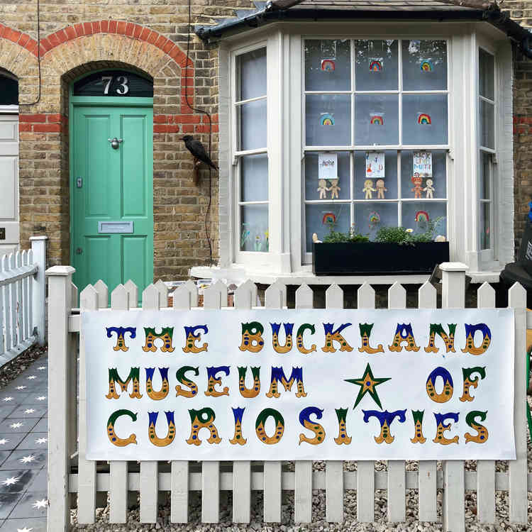 The Buckland Museum of Curiosities