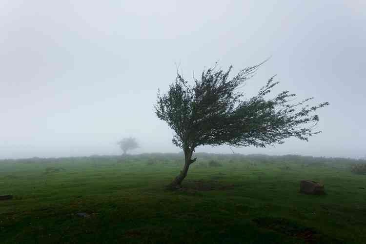 Very strong winds are heading to Teddington