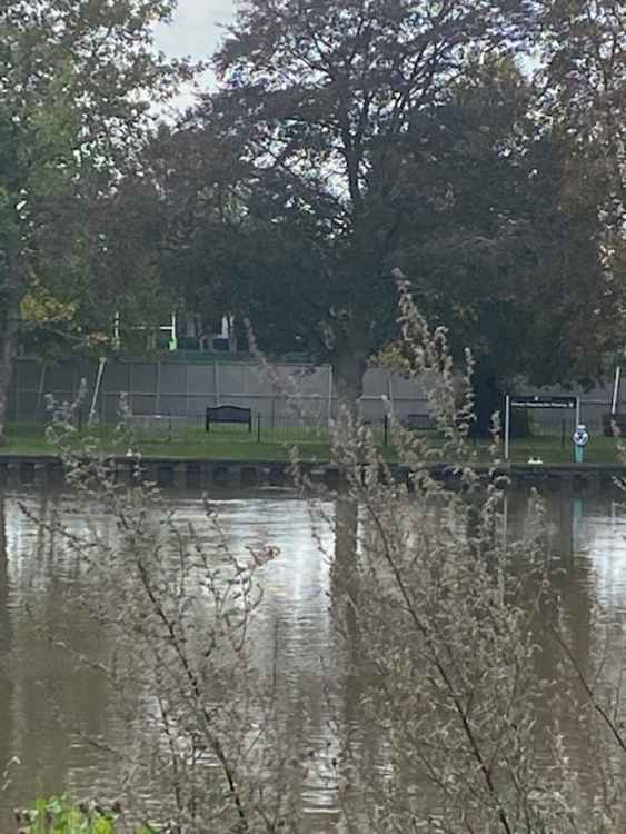 Rugby posts just visible behind the newly erected fence