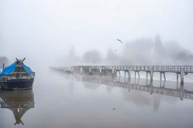 Early morning by the weir