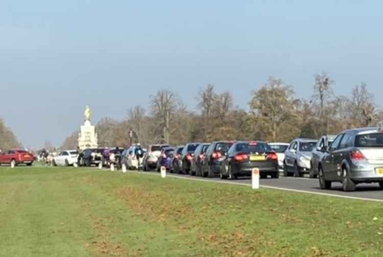 Traffic in Bushy Park by @Sean_Running_