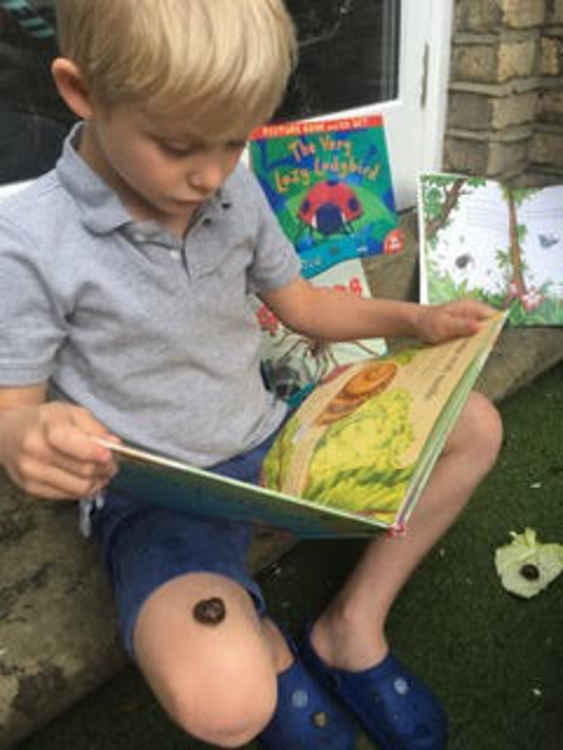 Jasper reading about animals