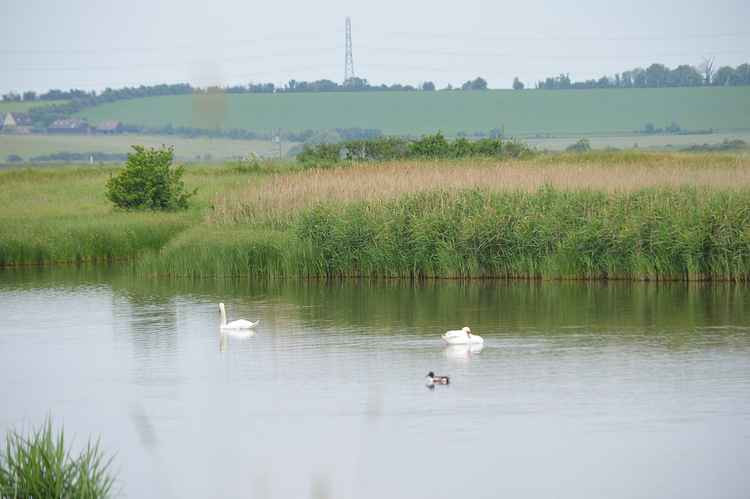 Blue House Farm nature reserve  Pic: Dudley Miles