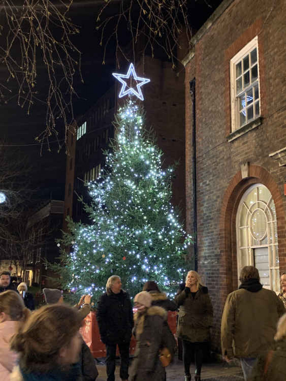 The Christmas tree in Teddington