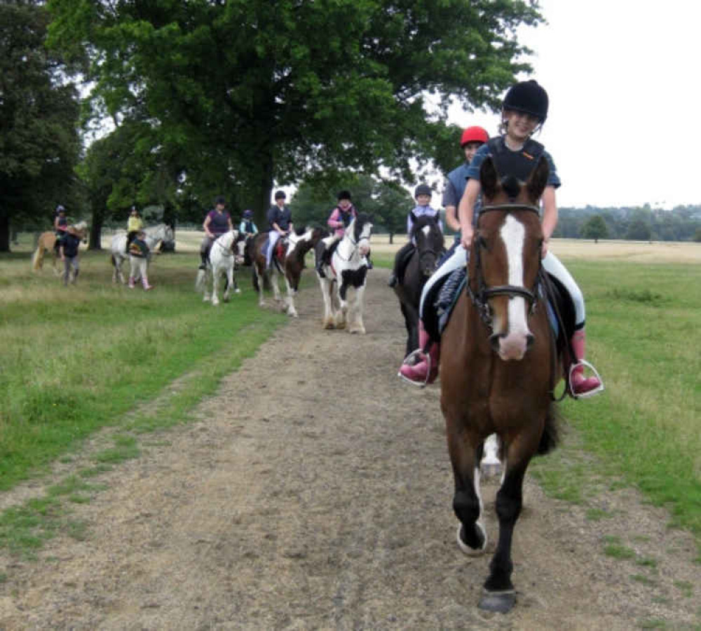 Park Lane Stables