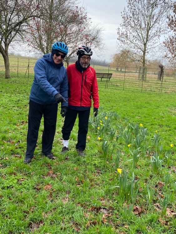 Nature-loving cyclists Mike and Rob stop to soak up the beauty of the early bird daffodils near the entrance of Home Park.