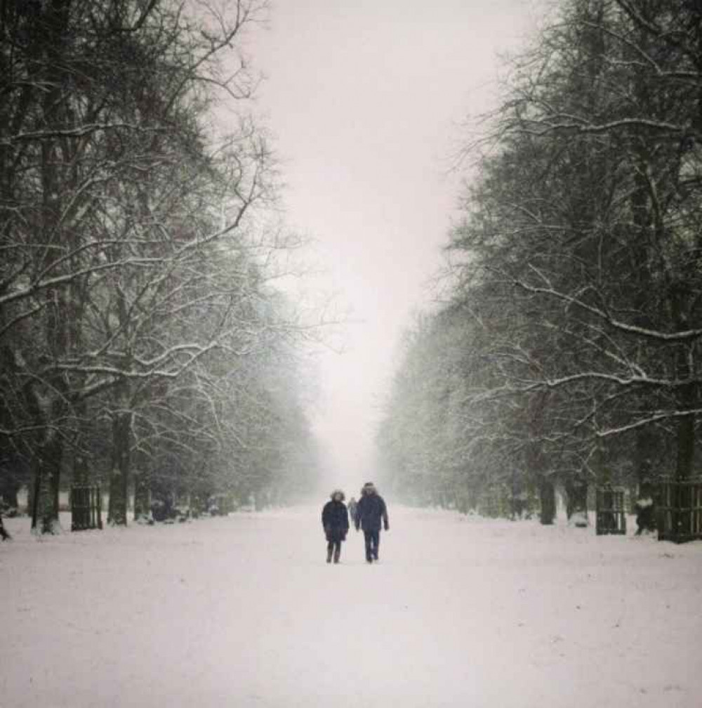 Snow in Bushy Park