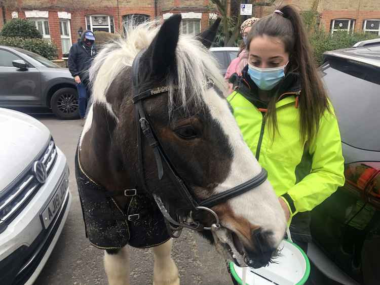 Marcus the pony on his visit to St Margarets last weekend