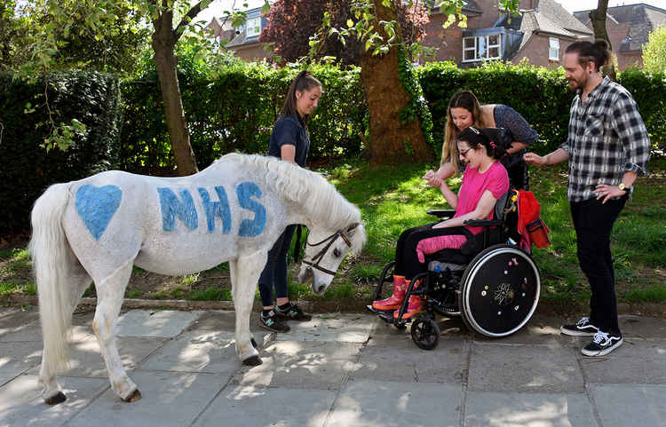 A pony spreading some cheer during lockdown