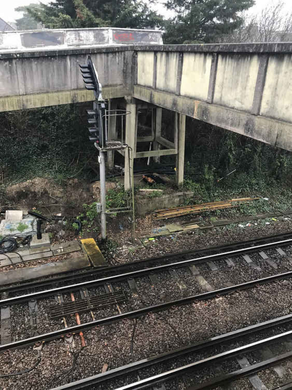 The dog was found here by the side of the train tracks (Credit: @RSPCA_Amy on Twitter)