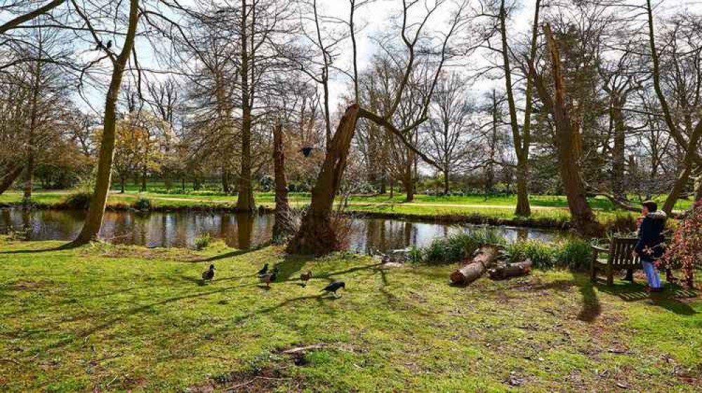 Area of Bushy Park closed due to high wind Local News News