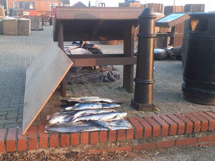 'Fish on the quay'