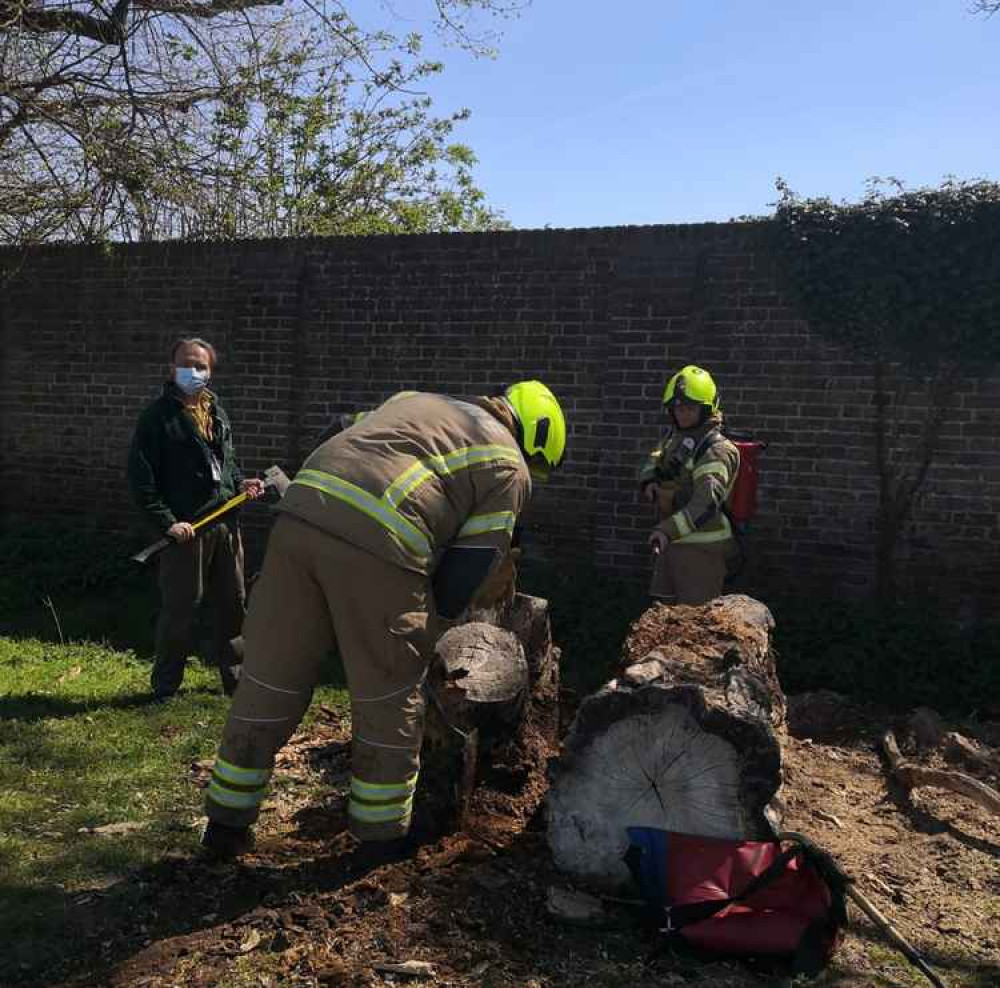 Firefighters were at the scene / Credit: The Royal Parks