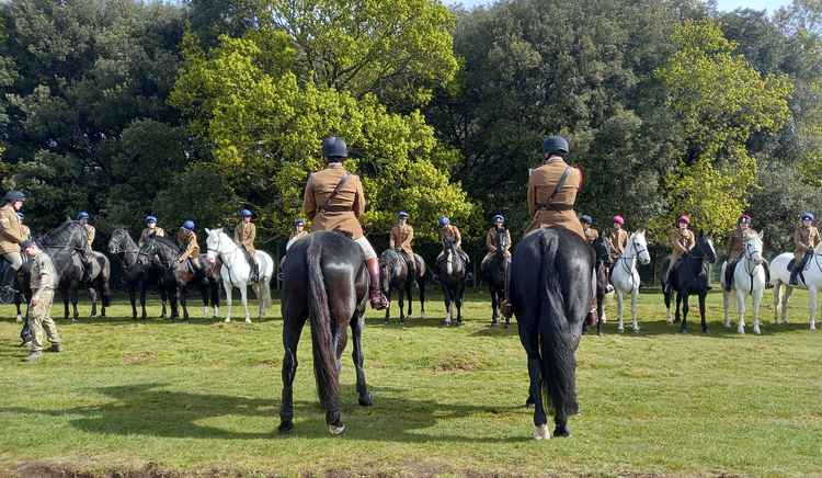 The horses in formation