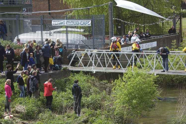 Crowds gathered as the RNLI constructed a makeshift pontoon to reach the whale