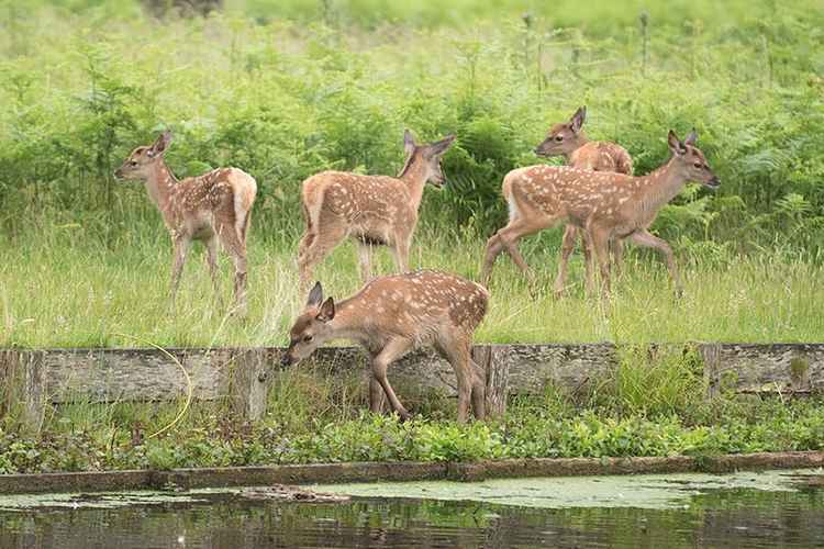 Making friends (Photo: Sue Lindenberg)