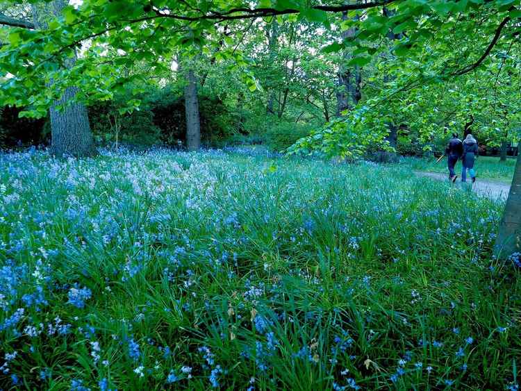 A couple enjoy their stroll in the gardens