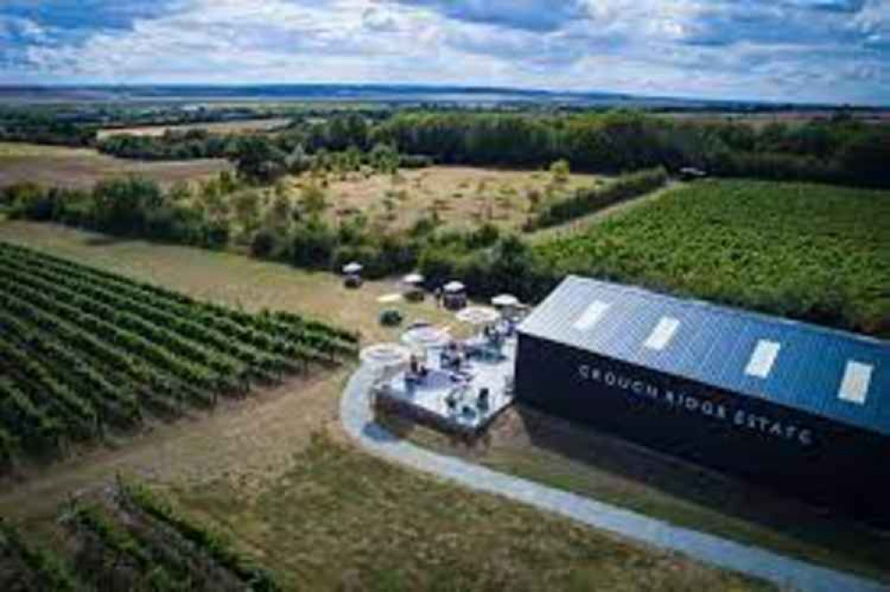 Crouch Ridge Vineyard