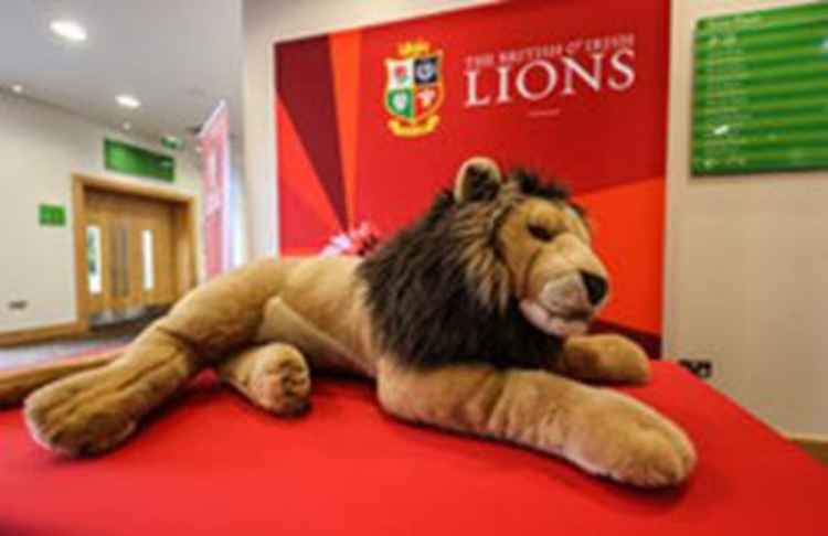 The British & Irish Lions mascot at the Lensbury today / All photos courtesy of www.inpho.ie