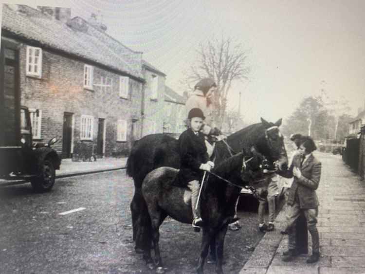 Park Lane Stables in the 1950s