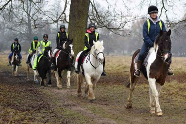 The stables provide a lifeline for disabled children and adults / Park Lane Stables
