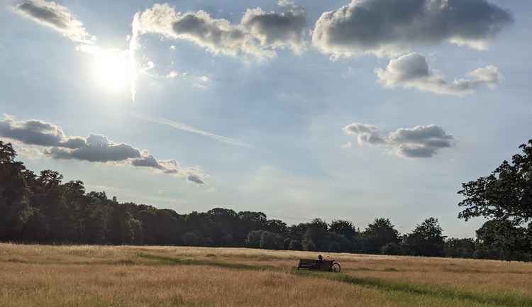 Teddington's Bushy Park is likely to be busy as residents enjoy the mini-heatwave this weekend (Credit: Nub News)