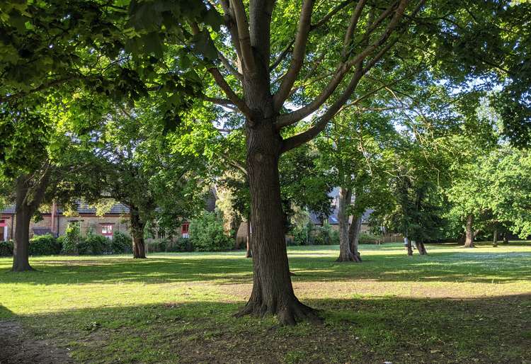 Udney Park Gardens, one of the many green spaces in Teddington (Credit: Nub News)