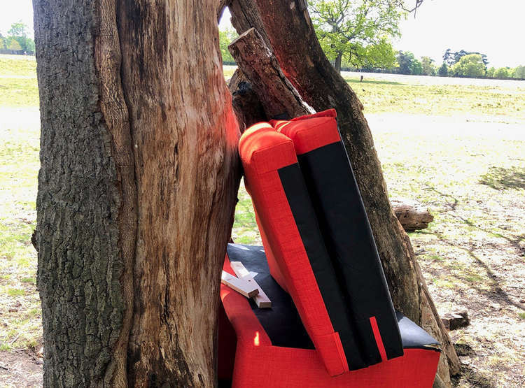 Our news round-up's top story of the week: the sofa that was dumped in Bushy Park, near Teddington (Image: Royal Parks)