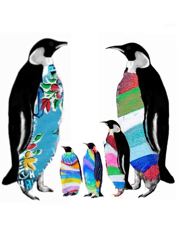 Raph Thomas' colourful penguins are popular (Image: 1of1Design)