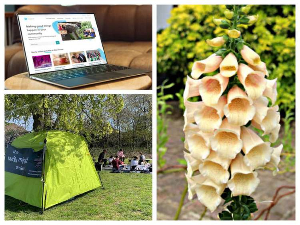 There's plenty of things to do in Teddington! Pictured: the Co-operate website (top left), the Wild Mind Project (bottom left), Teddington in flower (right) (Images: Co-operate, The Wild Mind Project, The Teddington Society)