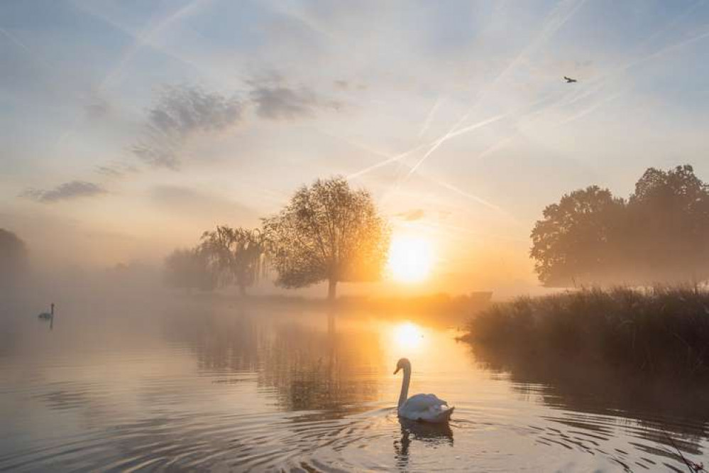 A stunning sunrise in Teddington's Bushy Park yesterday (Image: Sue Lindenberg)