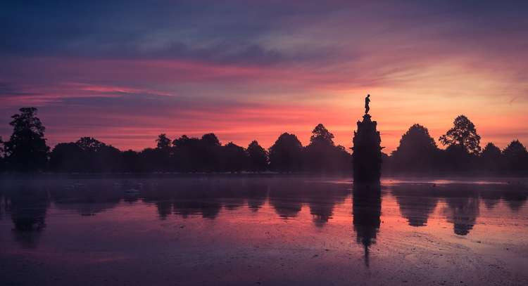 Teddington: a gorgeous sunrise in Bushy Park yesterday (Photo: Stephen Darlington)