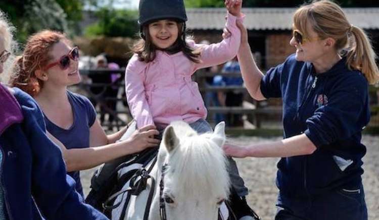 Park Lane Stables will soon be returning to Teddington (Credit: Park Lane Stables)