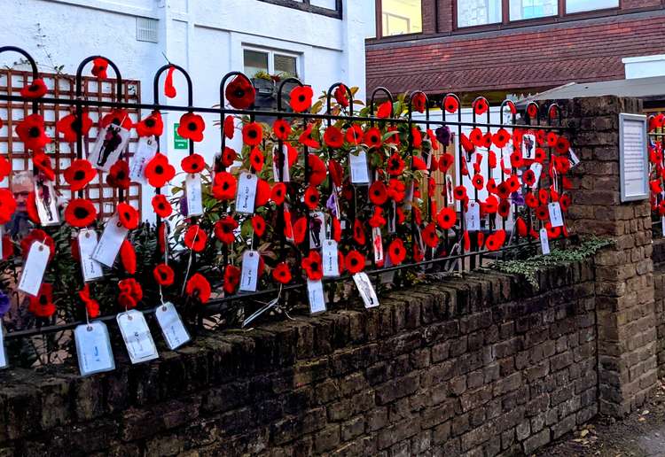 Some of the 5,600 poppies on Surbiton's Hollyfield Road (Image: Ellie Brown)