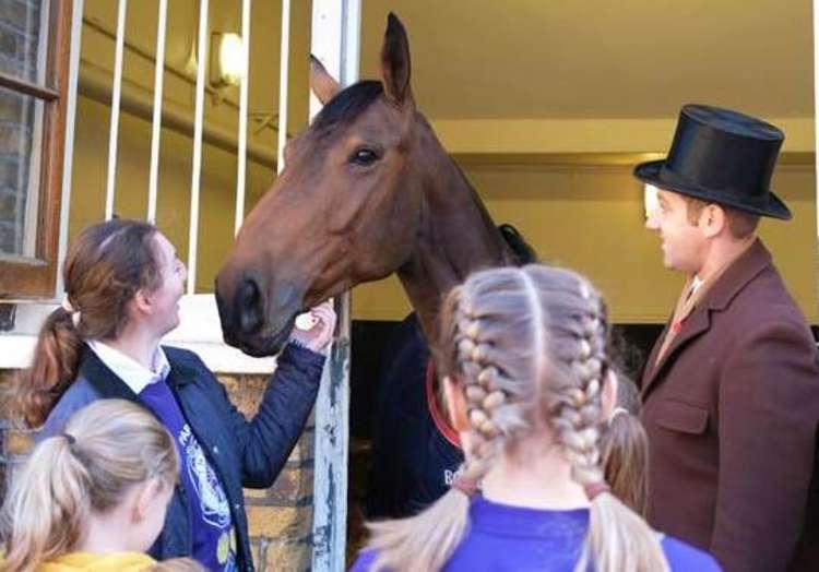 Meeting the horses (Image: Park Lane Stables)