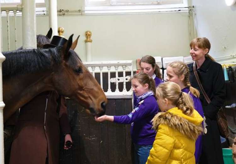 Plenty of time to get to know the horses (Image: Park Lane Stables)