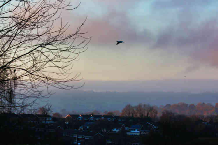 View over Honiton yesterday