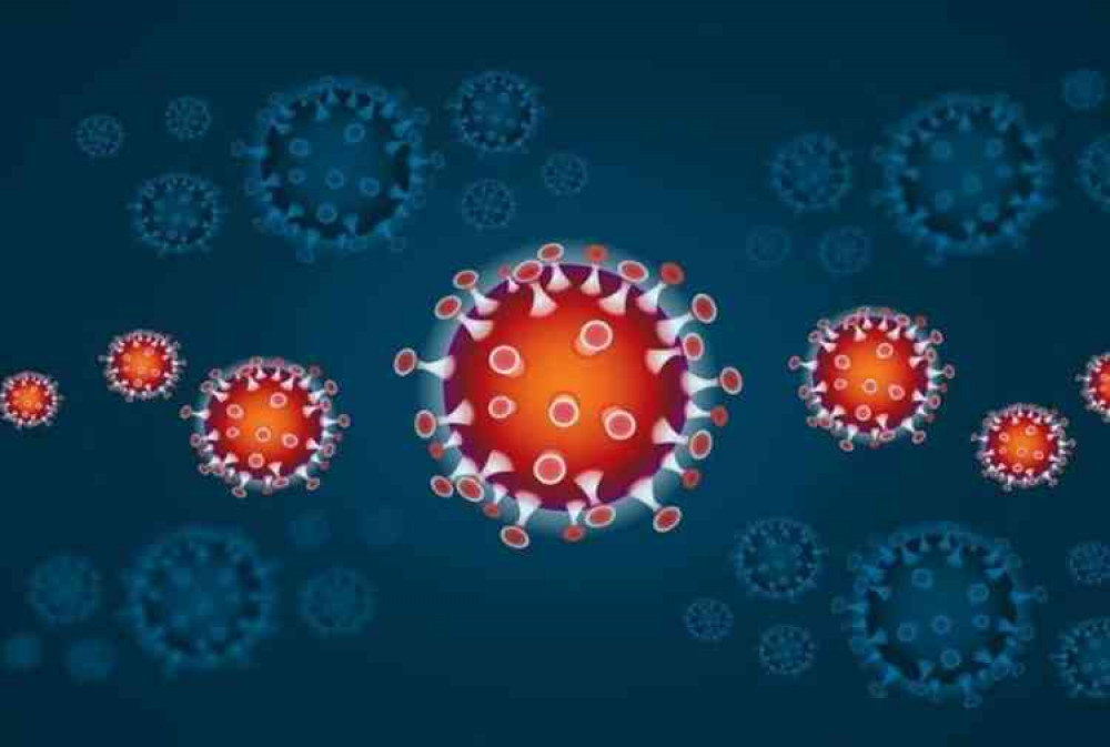 Images combined from a 3D medical animation, depicting the shape of coronavirus as well as the cross-sectional view. Image courtesy of www.scientificanimations.com.