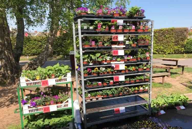 Plants supplied by Woodbeare Nurseries, local to the area